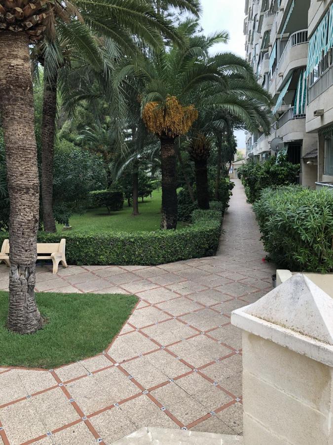 Apartamento Parque 2 Playa De Gandia Exteriér fotografie